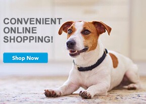 Convenient Online Shopping! Show Now