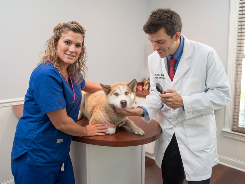 Spacious exam rooms make big dogs feel at home... Spacious exam rooms make big dogs feel at home...