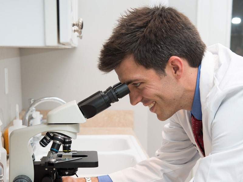 Dr. Borlik checking an ear infection under the microscope... Dr. Borlik checking an ear infection under the microscope...