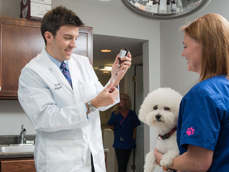 Our treatment room allows us to care for pets who aren't feeling well...