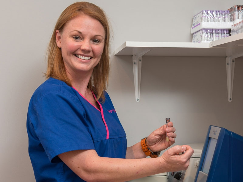 Analyzing a pet's bloodwork prior to anesthesia... Analyzing a pet's bloodwork prior to anesthesia...