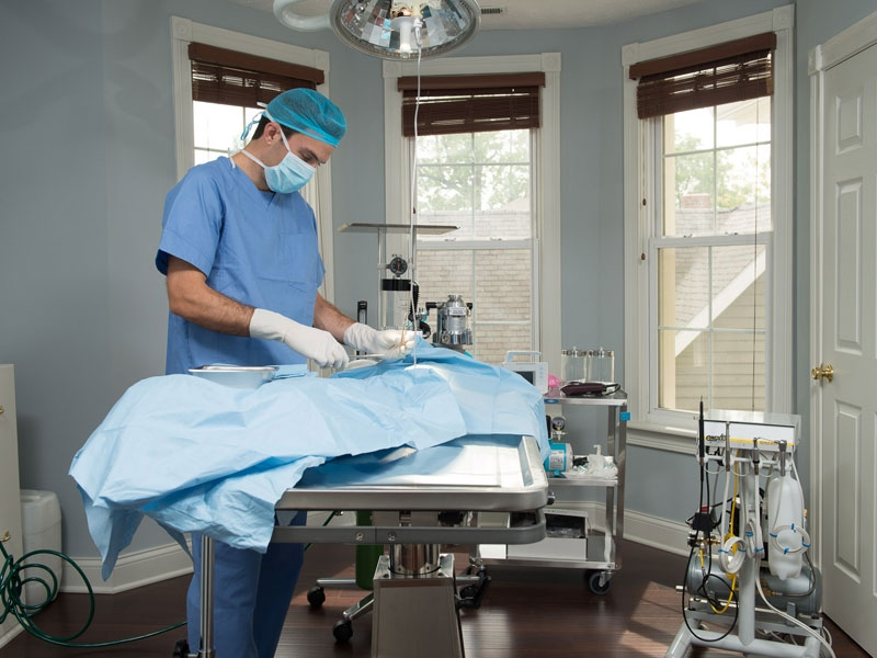 If your pet needs surgery, our surgical suite creates a soothing atmosphere for recovery... If your pet needs surgery, our surgical suite creates a soothing atmosphere for recovery...