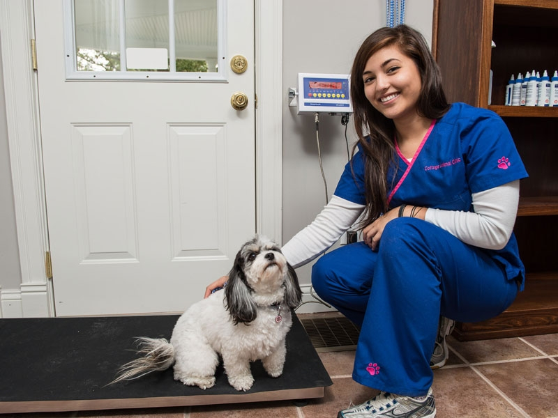 Let's get a fresh weight on your pet... Let's get a fresh weight on your pet...