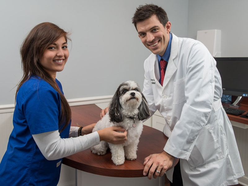 Inviting and relaxing exam rooms make you feel like you are at a friend's home...because you are! Inviting and relaxing exam rooms make you feel like you are at a friend's home...because you are!