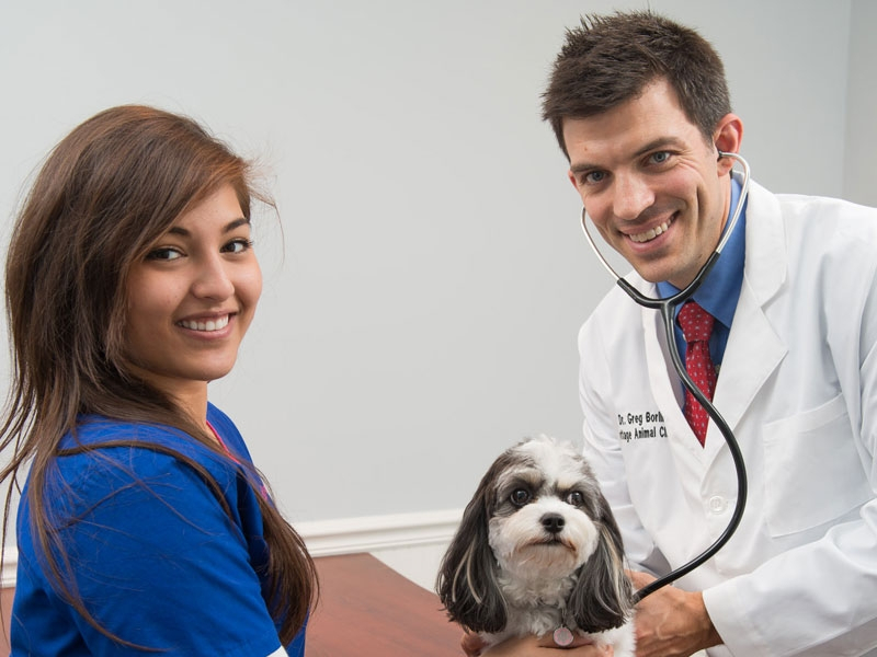 Let's make sure your pet sounds ok... Let's make sure your pet sounds ok...